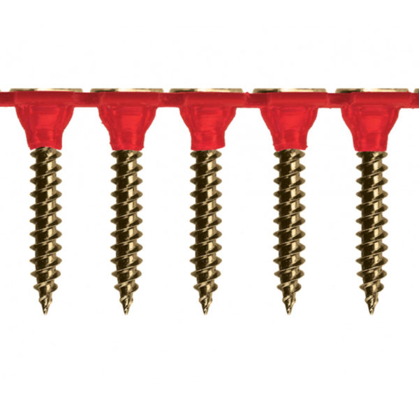 Collated fine thread needle point screws